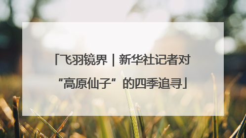 飞羽镜界｜新华社记者对“高原仙子”的四季追寻