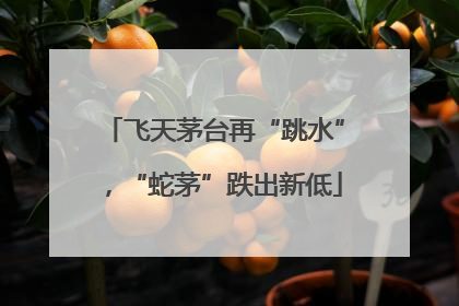 飞天茅台再“跳水”，“蛇茅”跌出新低