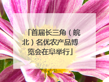 首届长三角（皖北）名优农产品博览会在阜举行