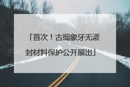 首次！古蜀象牙无灌封材料保护公开展出
