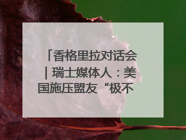 香格里拉对话会｜瑞士媒体人：美国施压盟友“极不理性” 欧洲国家无意与中国“脱钩断链”