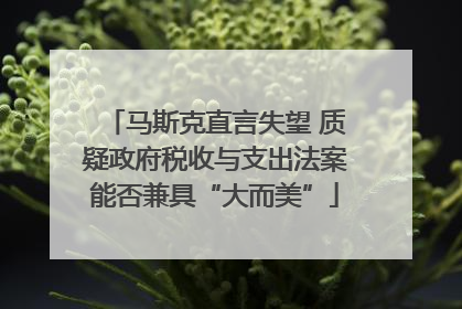 马斯克直言失望 质疑政府税收与支出法案能否兼具“大而美”