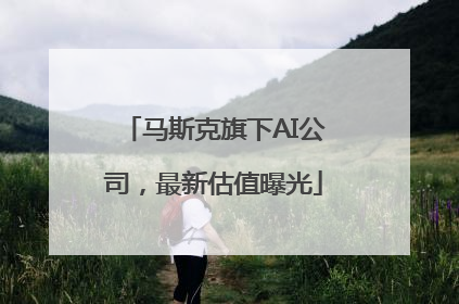 马斯克旗下AI公司，最新估值曝光