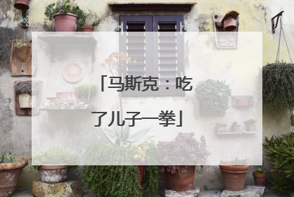 马斯克：吃了儿子一拳
