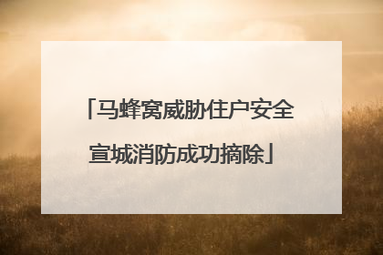 马蜂窝威胁住户安全 宣城消防成功摘除