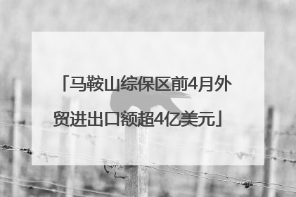 马鞍山综保区前4月外贸进出口额超4亿美元