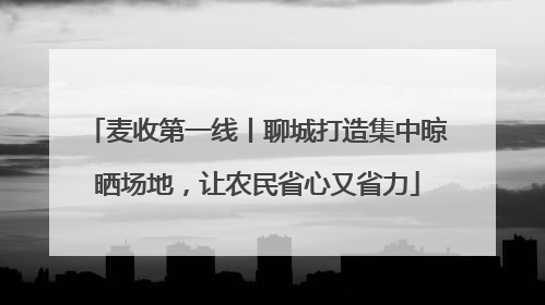 麦收第一线丨聊城打造集中晾晒场地，让农民省心又省力