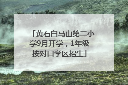 黄石白马山第二小学9月开学，1年级按对口学区招生