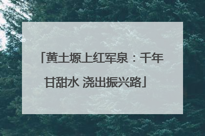 黄土塬上红军泉：千年甘甜水 浇出振兴路