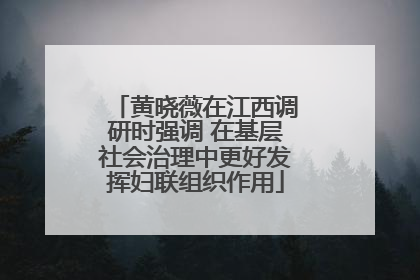 黄晓薇在江西调研时强调 在基层社会治理中更好发挥妇联组织作用
