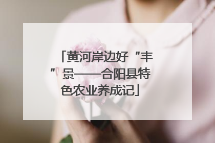 黄河岸边好“丰”景——合阳县特色农业养成记