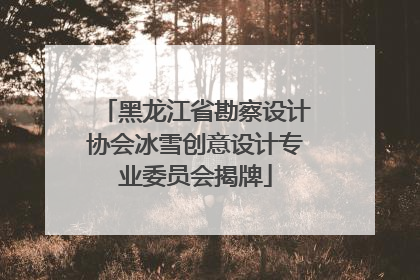黑龙江省勘察设计协会冰雪创意设计专业委员会揭牌