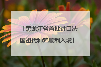 黑龙江省首批进口法国祖代种鸡顺利入境