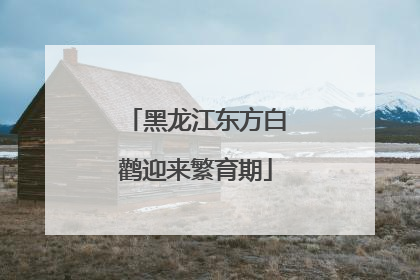 黑龙江东方白鹳迎来繁育期