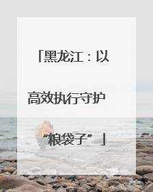 黑龙江：以高效执行守护“粮袋子”