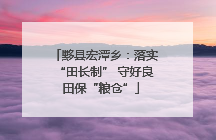 黟县宏潭乡：落实“田长制” 守好良田保“粮仓”