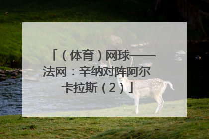 （体育）网球——法网：辛纳对阵阿尔卡拉斯（2）