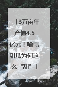 3万亩年产值4.5亿元！喻屯甜瓜为何这么“甜”