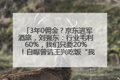 3年0佣金？京东进军酒旅，刘强东：行业毛利60%，我们只要20%！自曝曾请王兴吃饭“我要做外卖了”