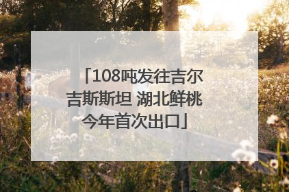 108吨发往吉尔吉斯斯坦 湖北鲜桃今年首次出口