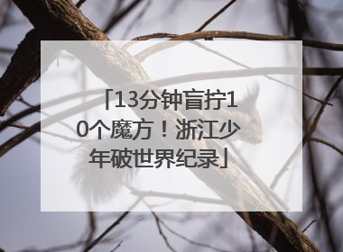13分钟盲拧10个魔方！浙江少年破世界纪录