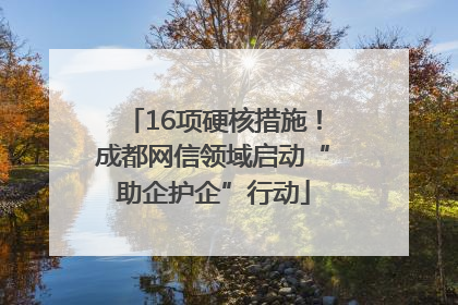 16项硬核措施！成都网信领域启动“助企护企”行动