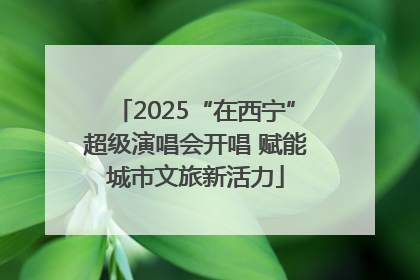 2025“在西宁”超级演唱会开唱 赋能城市文旅新活力
