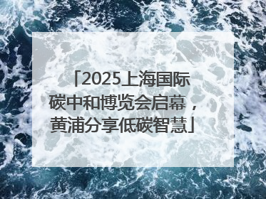 2025上海国际碳中和博览会启幕，黄浦分享低碳智慧