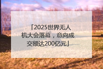 2025世界无人机大会落幕，意向成交额达200亿元