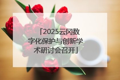 2025云冈数字化保护与创新学术研讨会召开