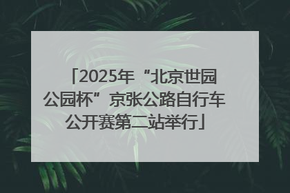 2025年“北京世园公园杯”京张公路自行车公开赛第二站举行