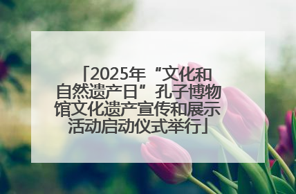 2025年“文化和自然遗产日”孔子博物馆文化遗产宣传和展示活动启动仪式举行