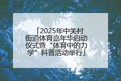 2025年中关村街道体育嘉年华启动仪式暨“体育中的力学”科普活动举行