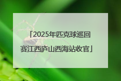 2025年匹克球巡回赛江西庐山西海站收官