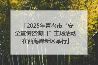 2025年青岛市“安全宣传咨询日”主场活动在西海岸新区举行