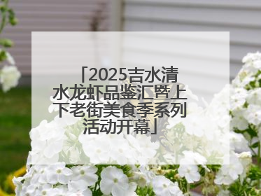 2025吉水清水龙虾品鉴汇暨上下老街美食季系列活动开幕