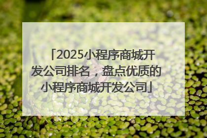 2025小程序商城开发公司排名，盘点优质的小程序商城开发公司