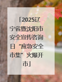 2025辽宁省暨沈阳市安全宣传咨询日“应急安全市集”火爆开市
