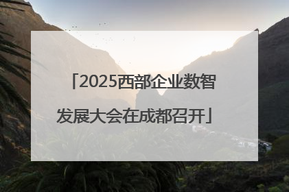 2025西部企业数智发展大会在成都召开