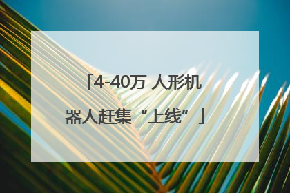 4-40万 人形机器人赶集“上线”