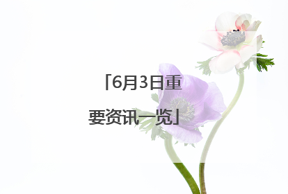 6月3日重要资讯一览