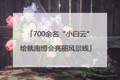 700余名“小白云”绘就南博会亮丽风景线