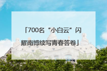 700名“小白云”闪耀南博续写青春答卷