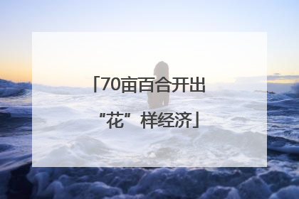 70亩百合开出“花”样经济