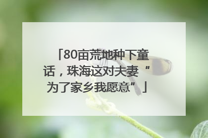 80亩荒地种下童话，珠海这对夫妻“为了家乡我愿意”