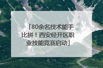 80余名技术能手比拼！西安经开区职业技能竞赛启动