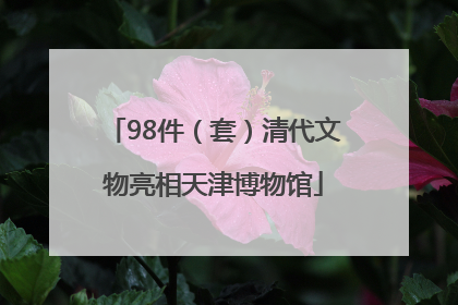 98件（套）清代文物亮相天津博物馆