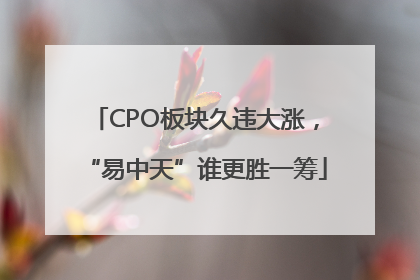 CPO板块久违大涨，“易中天”谁更胜一筹