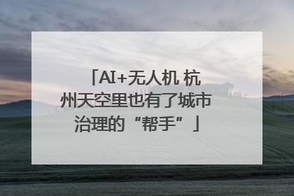 AI+无人机 杭州天空里也有了城市治理的“帮手”