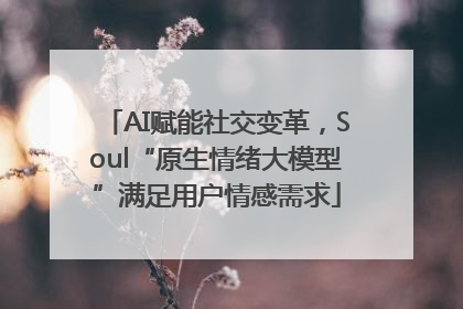 AI赋能社交变革，Soul“原生情绪大模型”满足用户情感需求